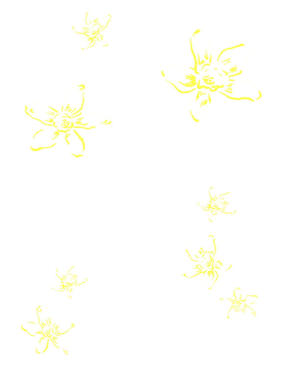 バニラ花