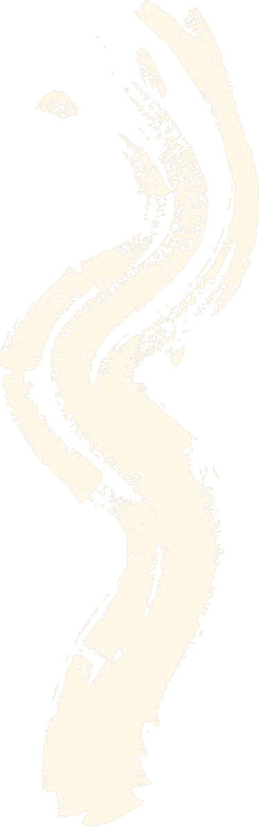 Vector